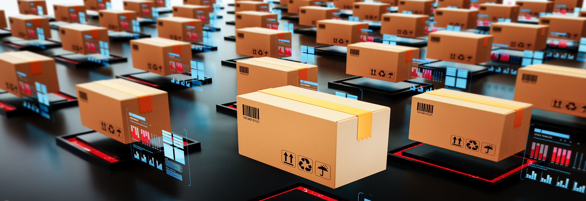 Transport Logistics